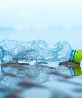 A,Plastic,Bottle,Lies,On,The,Beach,And,Pollutes,The